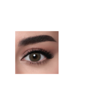 عدسات لنس مي - بتروليوم