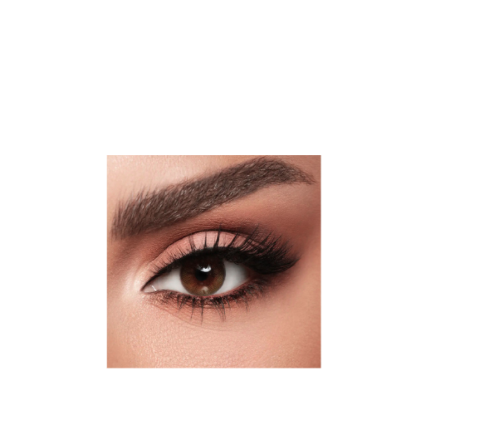 f4fa5be6-845e-45ba-aa97-b64e0d7c422b-1000x881.38385502471-5xYgq7BpP6v0AnqtL3anW94CiEppMOZMqvi4Y13c